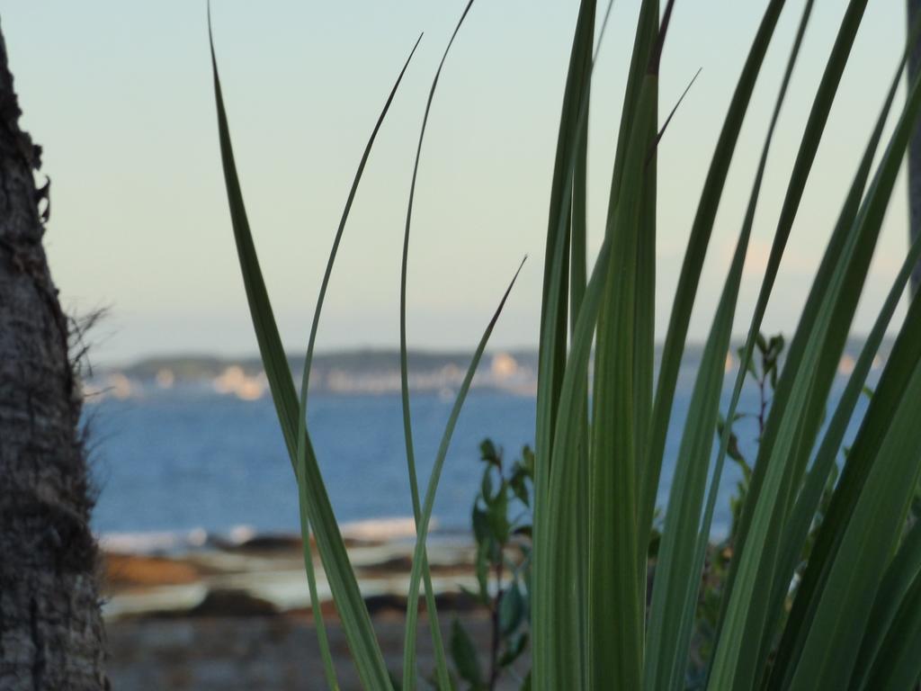 Hotel Castel Moor Le Croisic Bagian luar foto